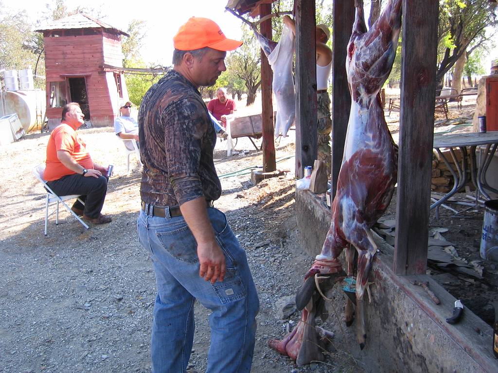 Click for original image