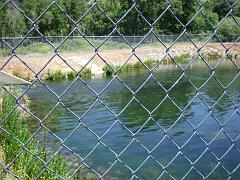  No huge trout to be seen in the pond today